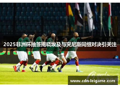 2025非洲杯抽签揭晓埃及与突尼斯同组对决引关注